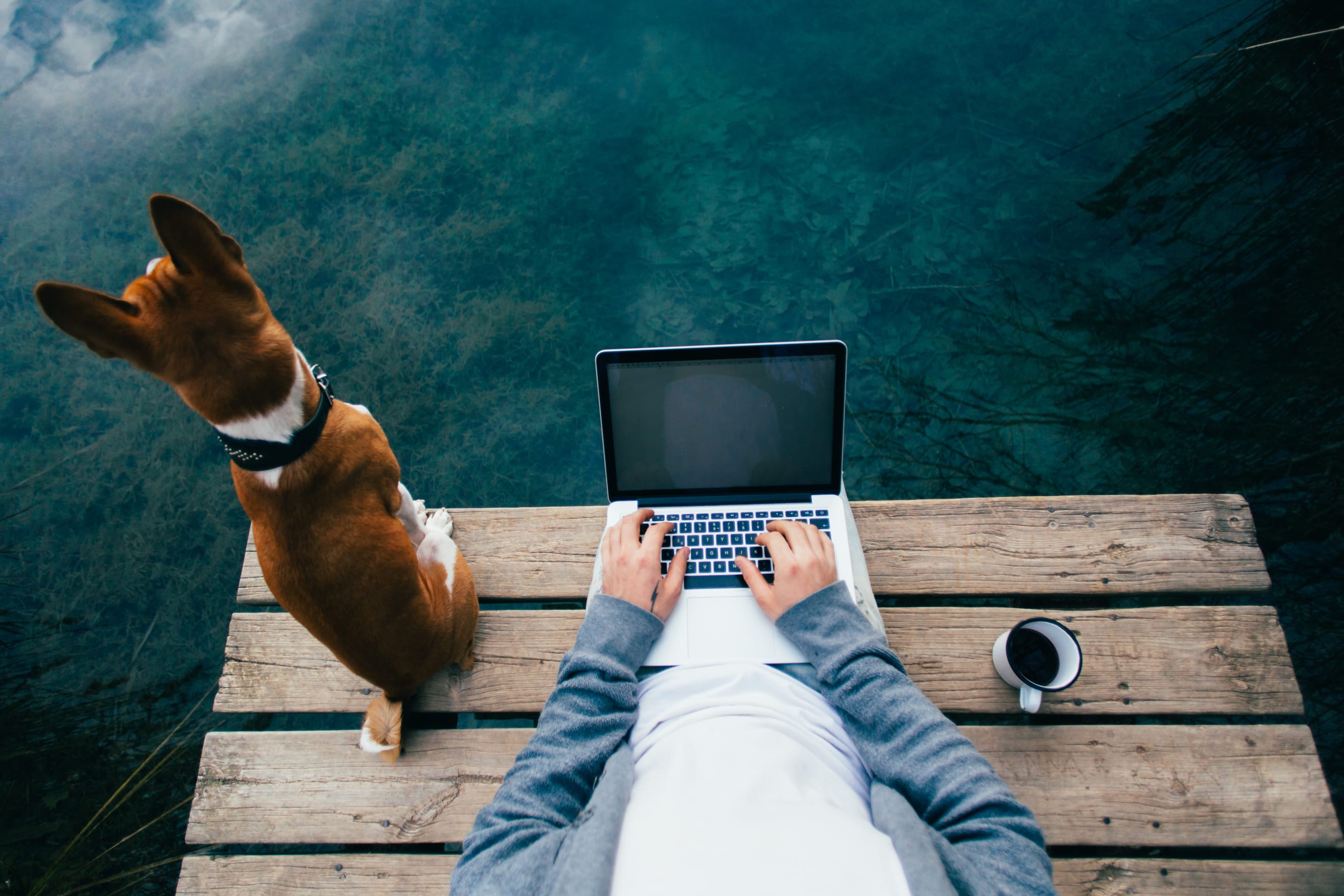 Travel Trends 2026: Remote Work, Travel, and Digital Nomad News